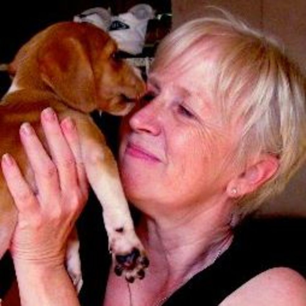 Meet your Posher, Donna